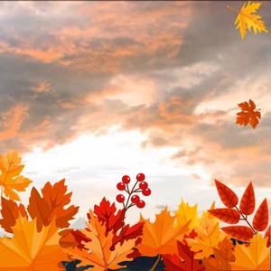 Meet your Posher, Ingrid